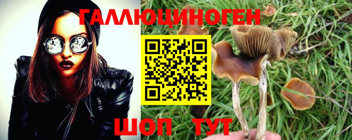 Астрахань  Галлюциногенные грибы Magic Shrooms  Галлюциногенные грибы ЛСД  Вход с VPN 